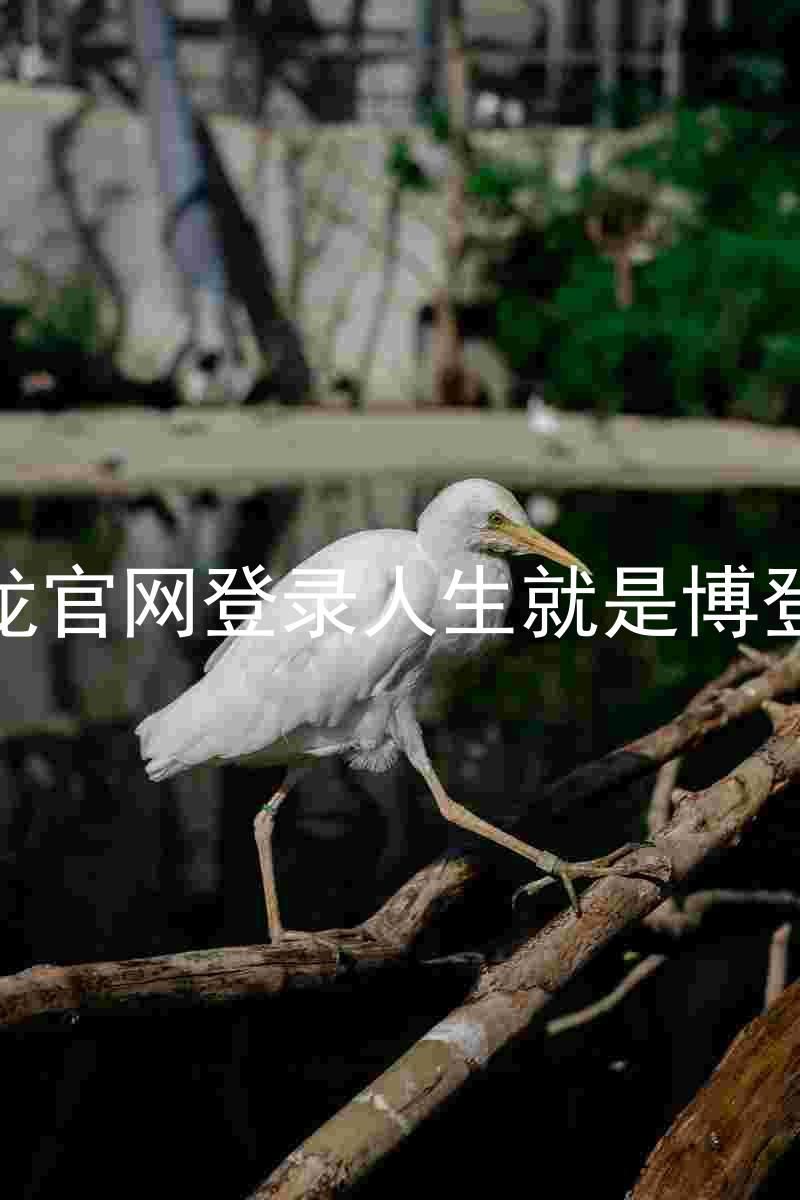 尊龙官网登录人生就是博登录